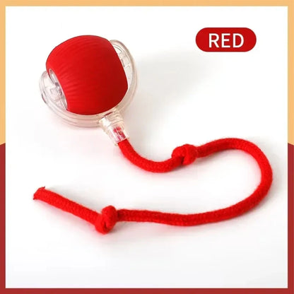 Dog Cat Interactive Ball Toy Automatic Rolling Ball Faux Tail Rechargeable Smart Pet Electric Toy Dog Cat Training Imitate Mouse