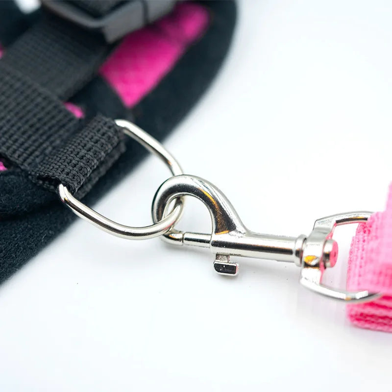 Hot summer small dog pet chest and back breathable dog chest and back suit cat outdoor traction rope child collar