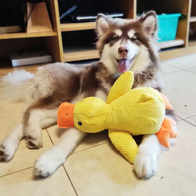 Dog sleeping with a dog hug duck toys to relieve boredom of little yellow duck pet interactive plush doll pet supplies